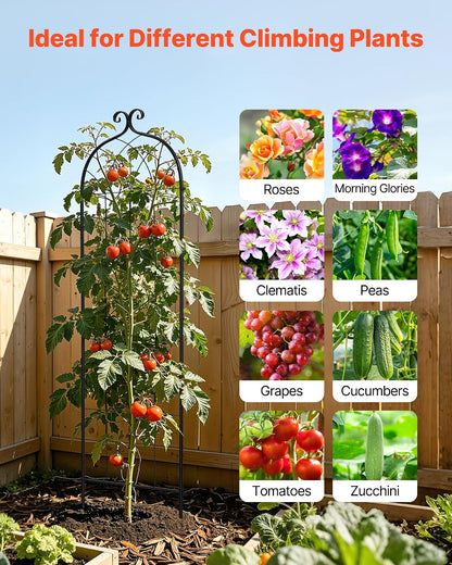 Garden Trellis, 87 x 20 inch Rose Trellis, 2 Packs Garden Flower Rose Trellises with Powder-Coated Finish & Convenient Locking Design, Plant Support Trellises for Flowers, Vegetables, Roses