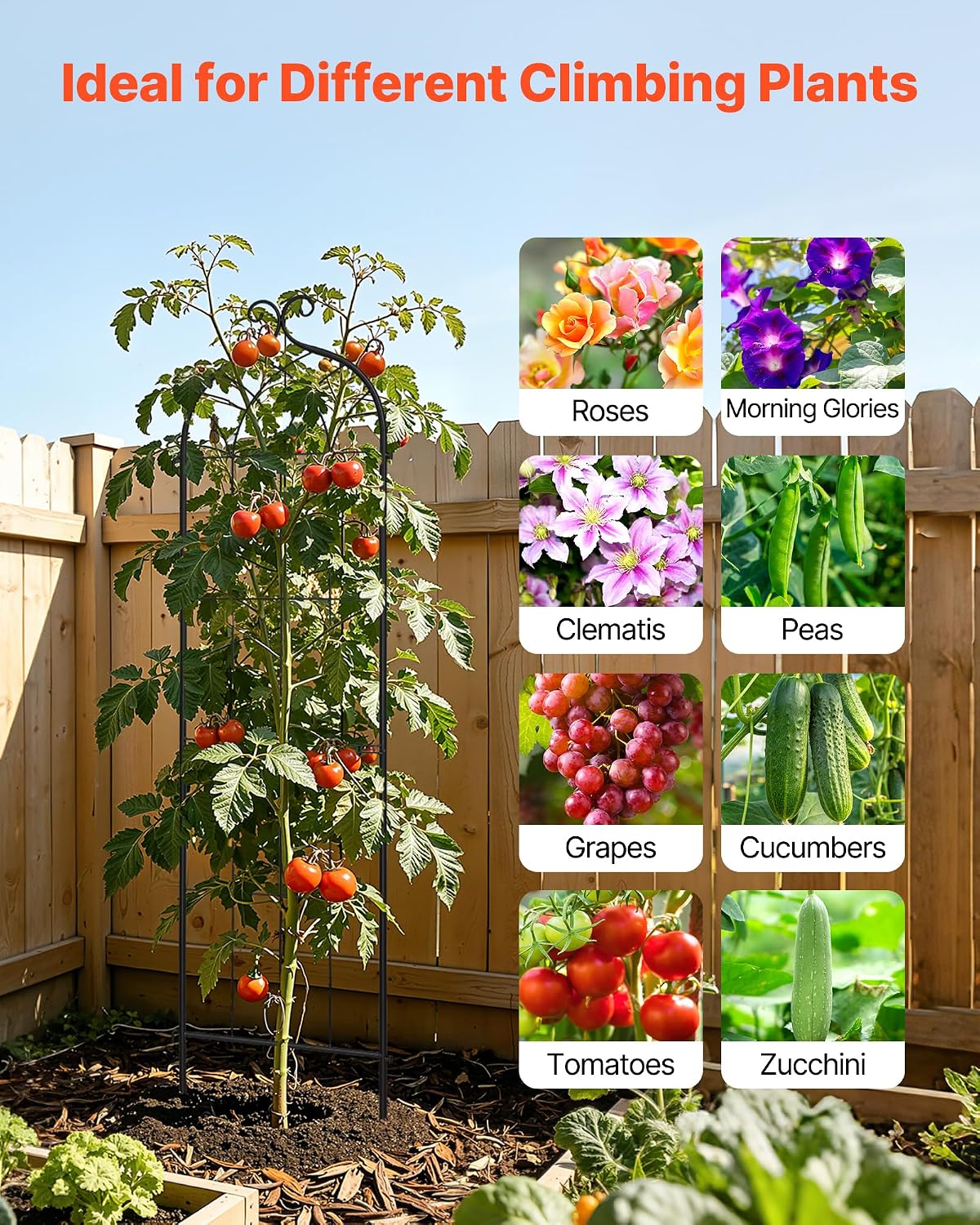 Garden Trellis, 87 x 20 inch Rose Trellis, 2 Packs Garden Flower Rose Trellises with Powder-Coated Finish & Convenient Locking Design, Plant Support Trellises for Flowers, Vegetables, Roses