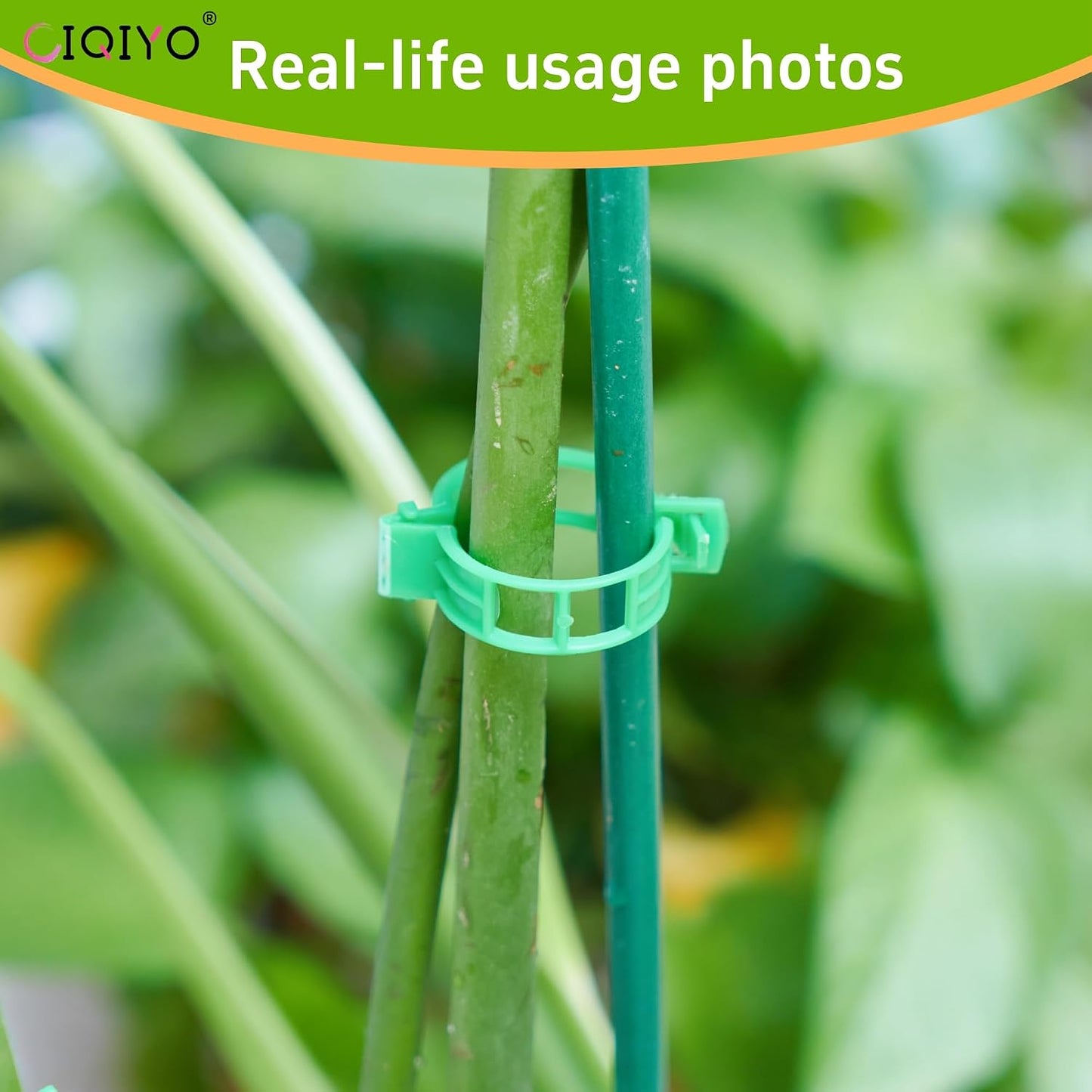 100 Pcs Plant Support Clips,Plastic Clips for Securing Plants