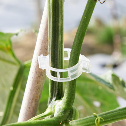 100 Pcs Plant Support Clips,Plastic Clips for Securing Plants
