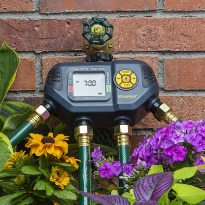 65138AMZ AquaTimer Digital Hose Timer, 1-Zone Timer, QuickConnect Bundle, Black, Yellow