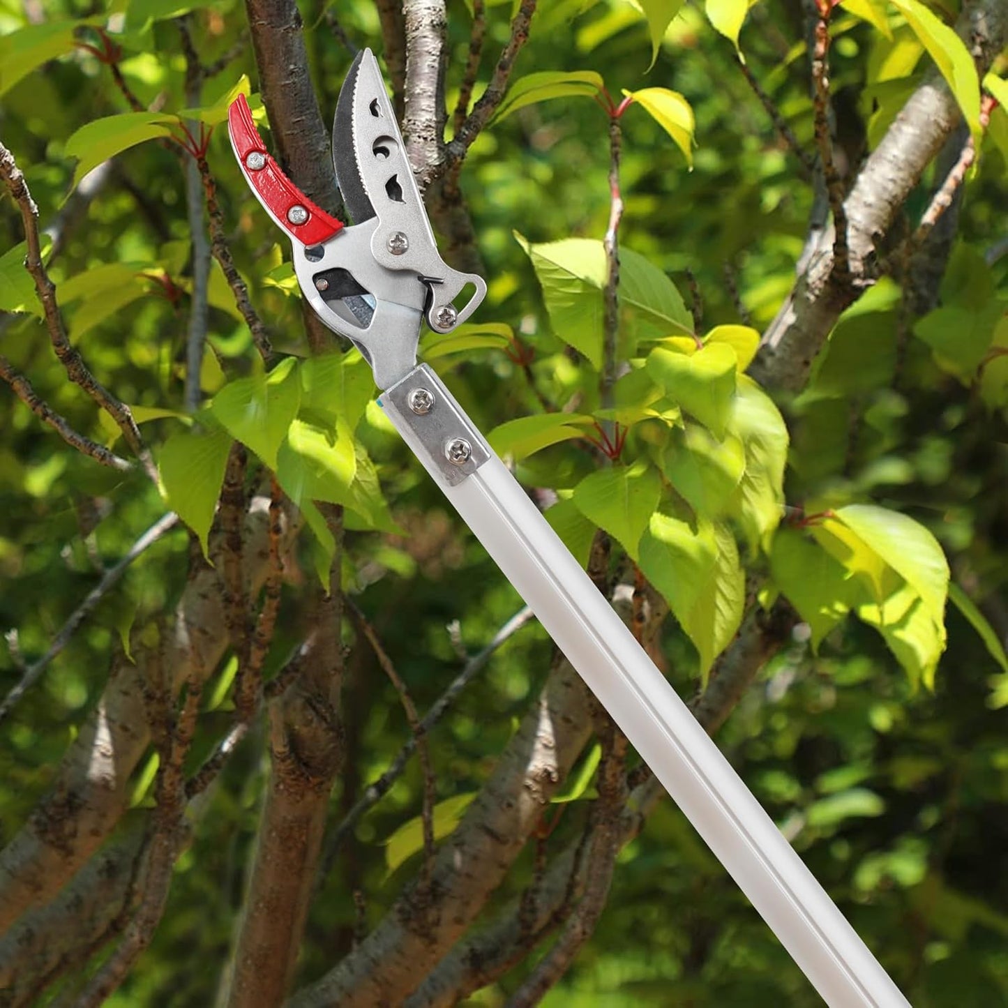 Cut & Hold Pole Pruner, 4.2 FT Lightweight Fruit Picker with 180° Rotating Handle, SK5 Steel Blade Cuts up to 1/2 Inch, Long Reach Garden Tree Trimmer & Branch Cutter for Shrubs, Bushes