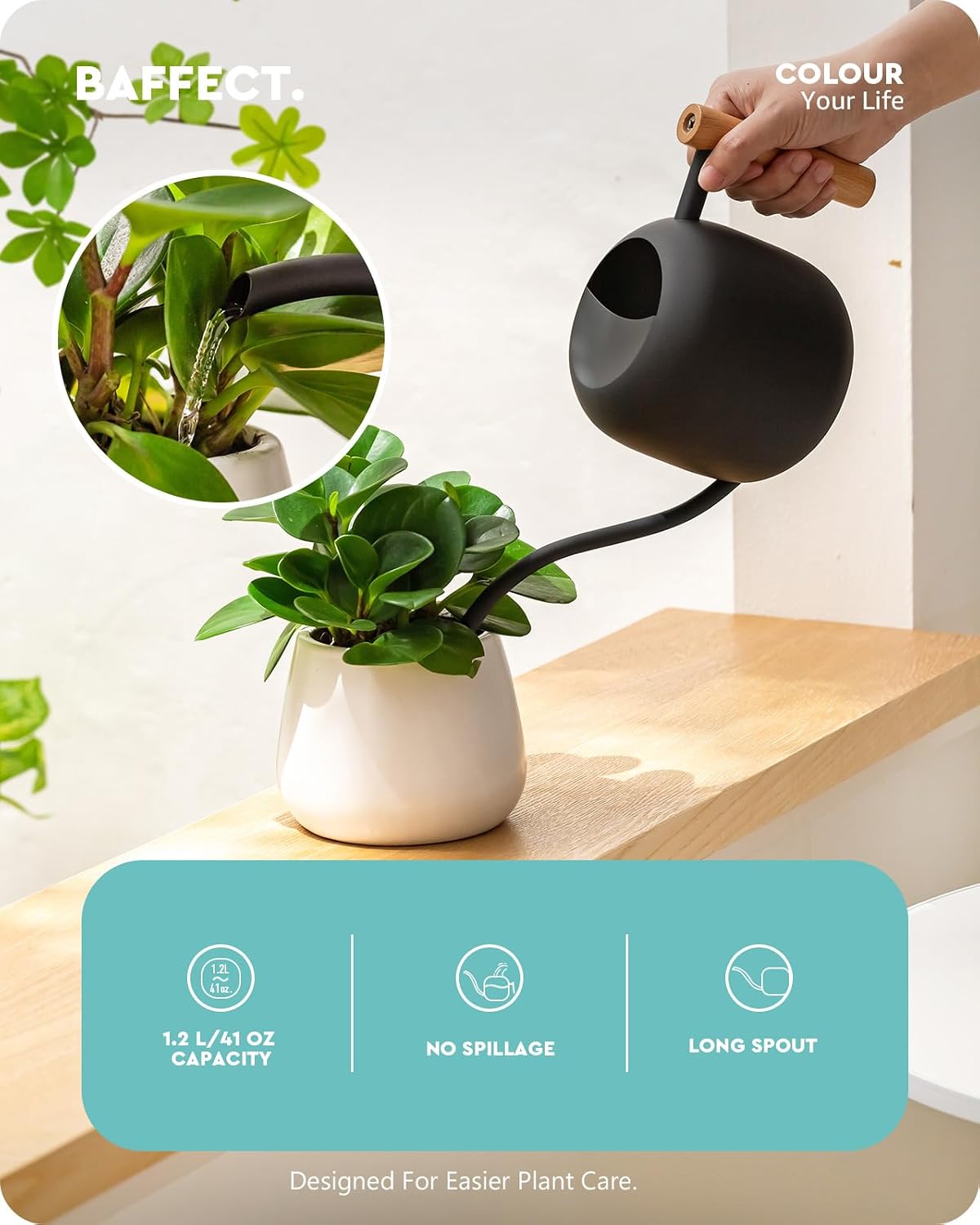 Indoor House Plants Watering Set for Bonsai, Orchid
