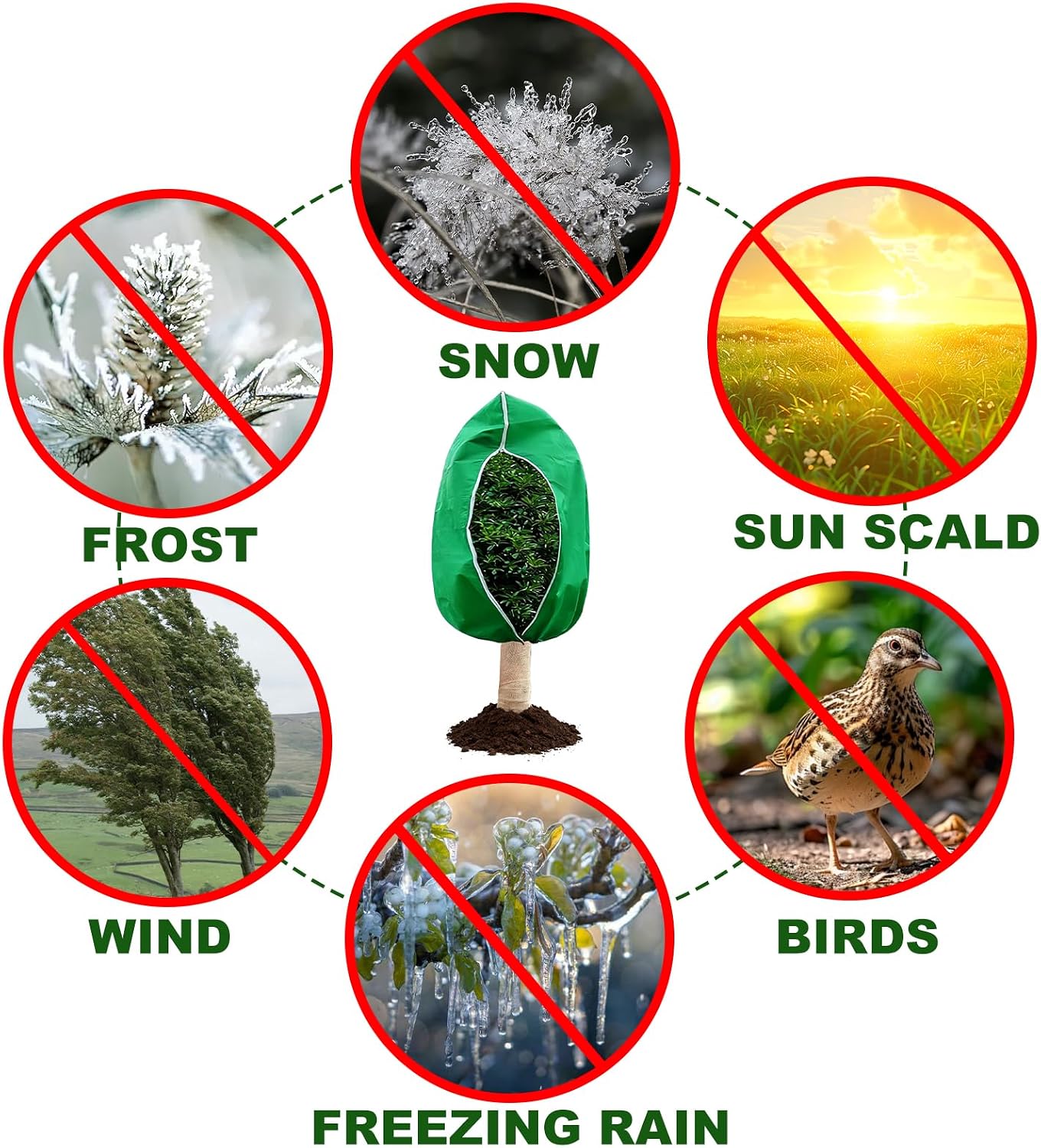 Plant Covers for Freeze Protection, 2 Pack 63" x 71" Drawstring