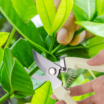 20 Garden Flower Shears Pruning Scissors Heavy Duty Plant Scissors Trimming Garden Clippers Hand Tree Pruner for Yard Gardening Plants Hedge Flower Tree Cutting Secateurs (Beige)