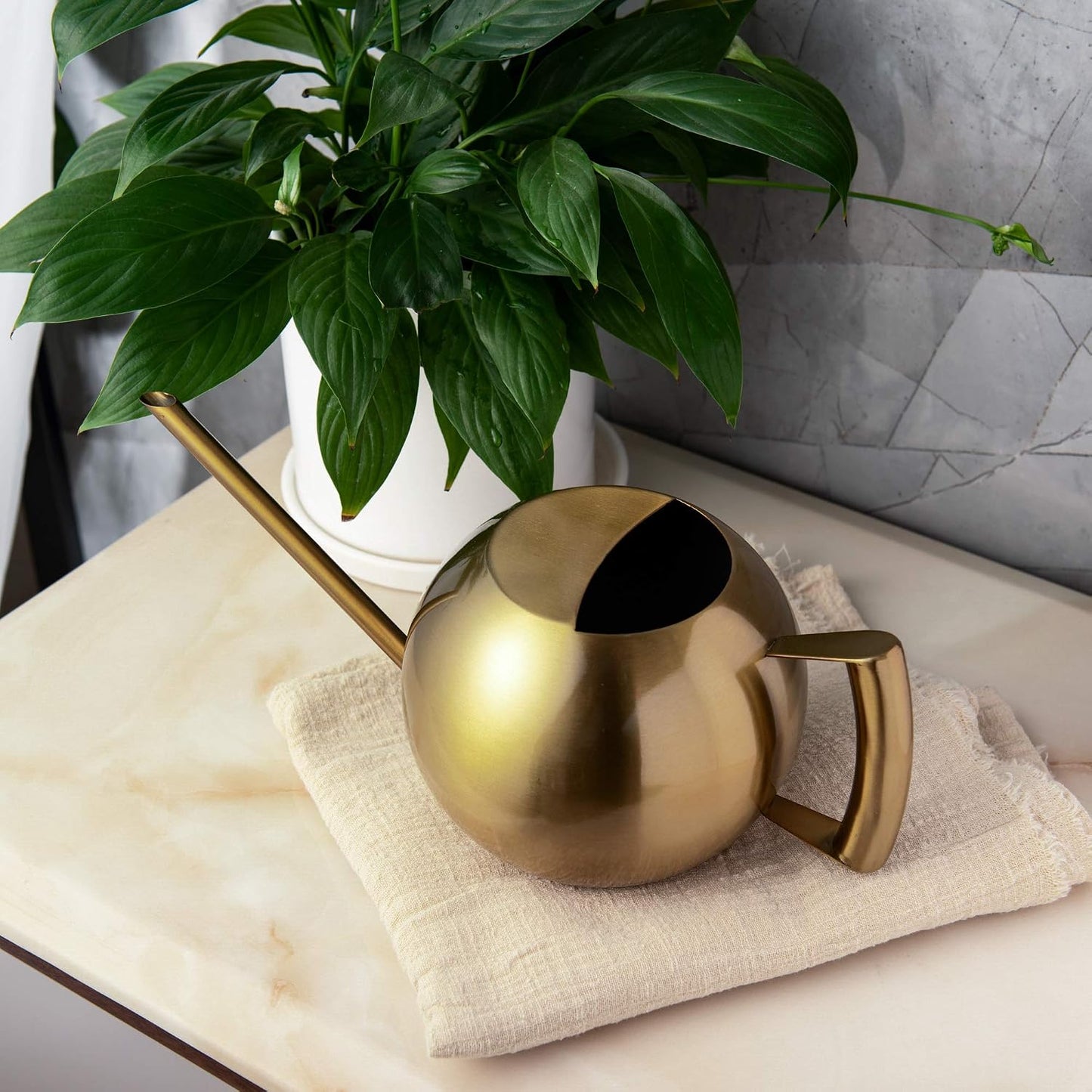 Watering Can for Indoor Plants 45oz/1.3L Stainless Steel Small Indoor Watering Can House Plants