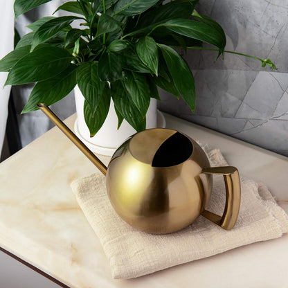 Watering Can for Indoor Plants 45oz/1.3L Stainless Steel Small Indoor Watering Can House Plants