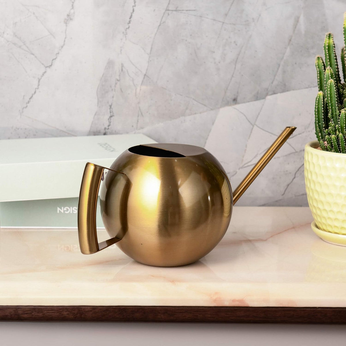 Watering Can for Indoor Plants 45oz/1.3L Stainless Steel Small Indoor Watering Can House Plants