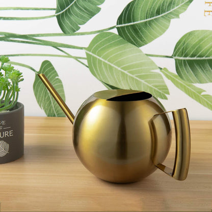 Watering Can for Indoor Plants 45oz/1.3L Stainless Steel Small Indoor Watering Can House Plants