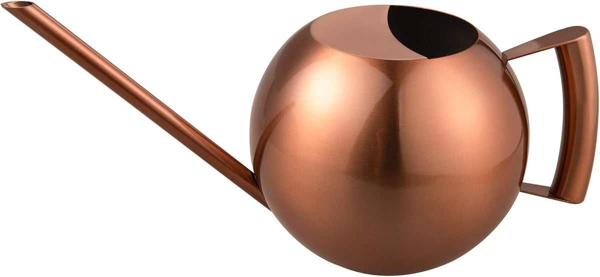 Watering Can for Indoor Plants 45oz/1.3L Stainless Steel Small Indoor Watering Can House Plants