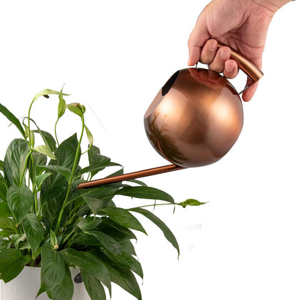 Watering Can for Indoor Plants 45oz/1.3L Stainless Steel Small Indoor Watering Can House Plants