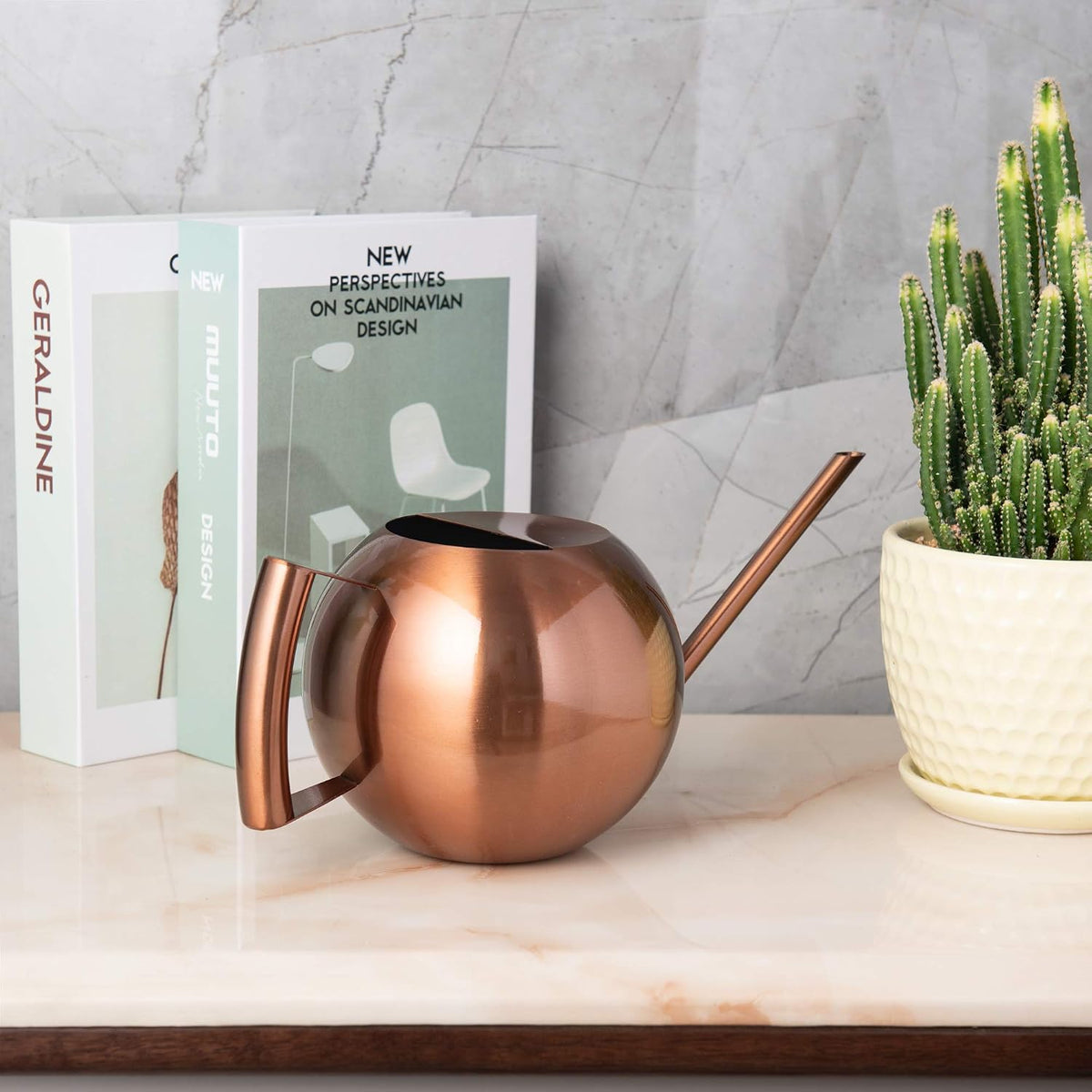 Watering Can for Indoor Plants 45oz/1.3L Stainless Steel Small Indoor Watering Can House Plants