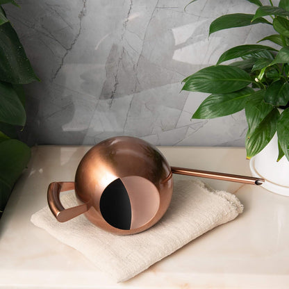 Watering Can for Indoor Plants 45oz/1.3L Stainless Steel Small Indoor Watering Can House Plants