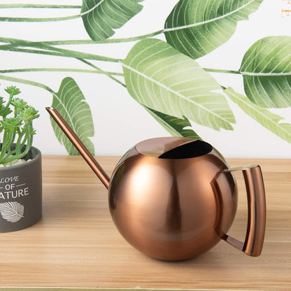 Watering Can for Indoor Plants 45oz/1.3L Stainless Steel Small Indoor Watering Can House Plants