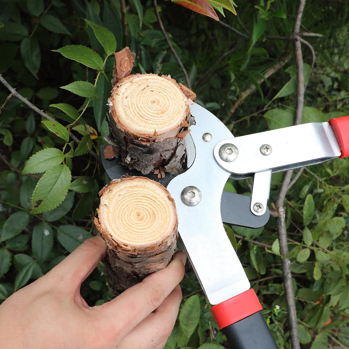 2-Inch Cutting Capacity Bypass Loppers, 26-33" Extendable Tree Branch Cutter, Professional Gear-Driven Labor-Saving Heavy Duty Pruners, Carbon Steel Teflon Blade & Lightweight Aluminum Handles