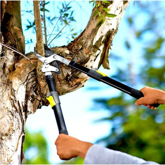 Long Reach 24 to 33 in. Ratcheting Bypass Lopper, 1.75" Cut, Steel Blade