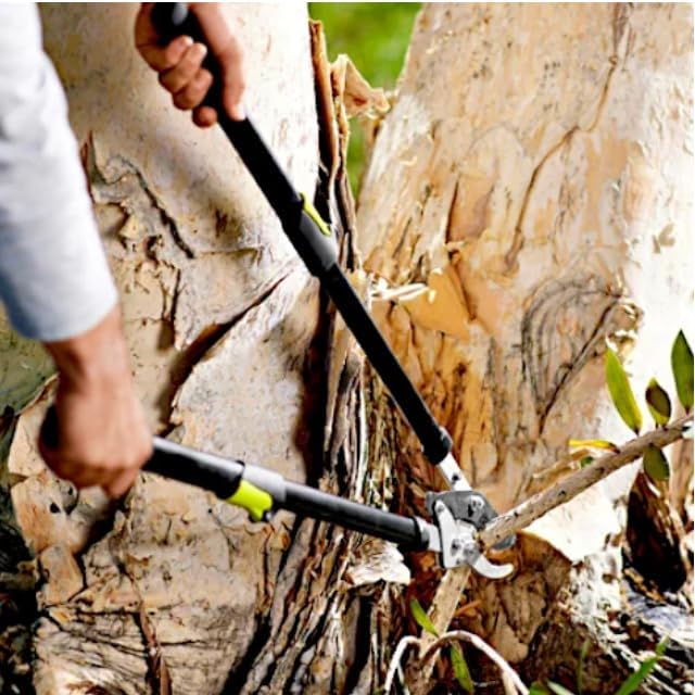 Long Reach 24 to 33 in. Ratcheting Bypass Lopper, 1.75" Cut, Steel Blade