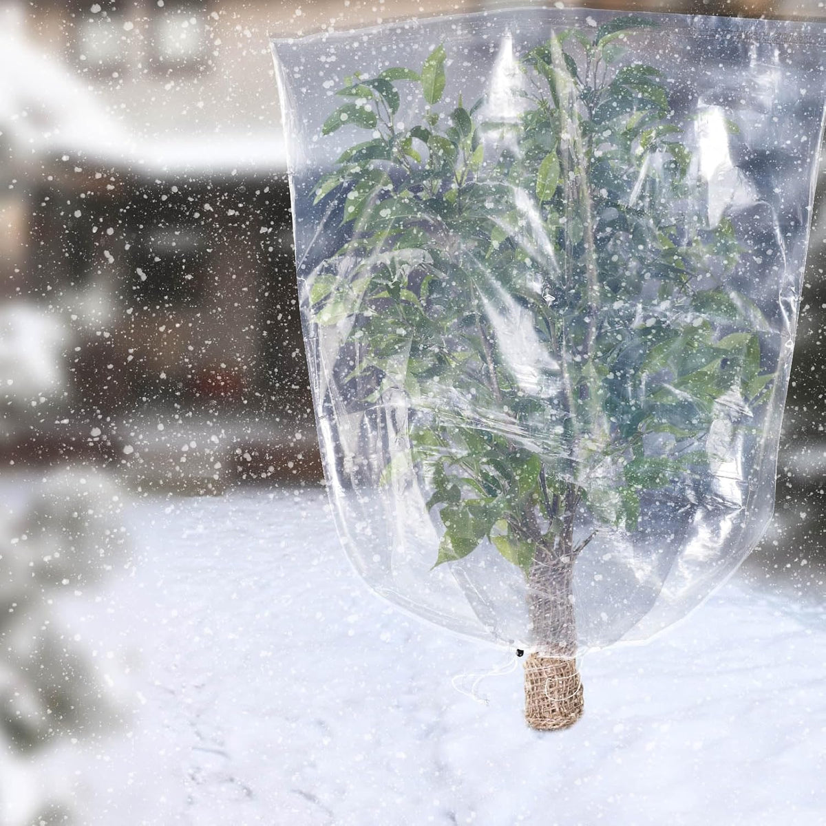6 Pcs Winter Plant Cover Freeze Protection - 39" x 39" Plastic Plant Frost Bags with Drawstring, Transparent Waterproof Plant Shelter Coverings for Outdoors Garden Plants Shrubs Sapling Bushes