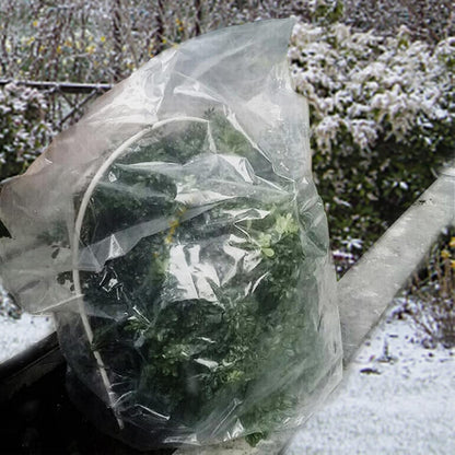 6 Pcs Winter Plant Cover Freeze Protection - 39" x 39" Plastic Plant Frost Bags with Drawstring, Transparent Waterproof Plant Shelter Coverings for Outdoors Garden Plants Shrubs Sapling Bushes