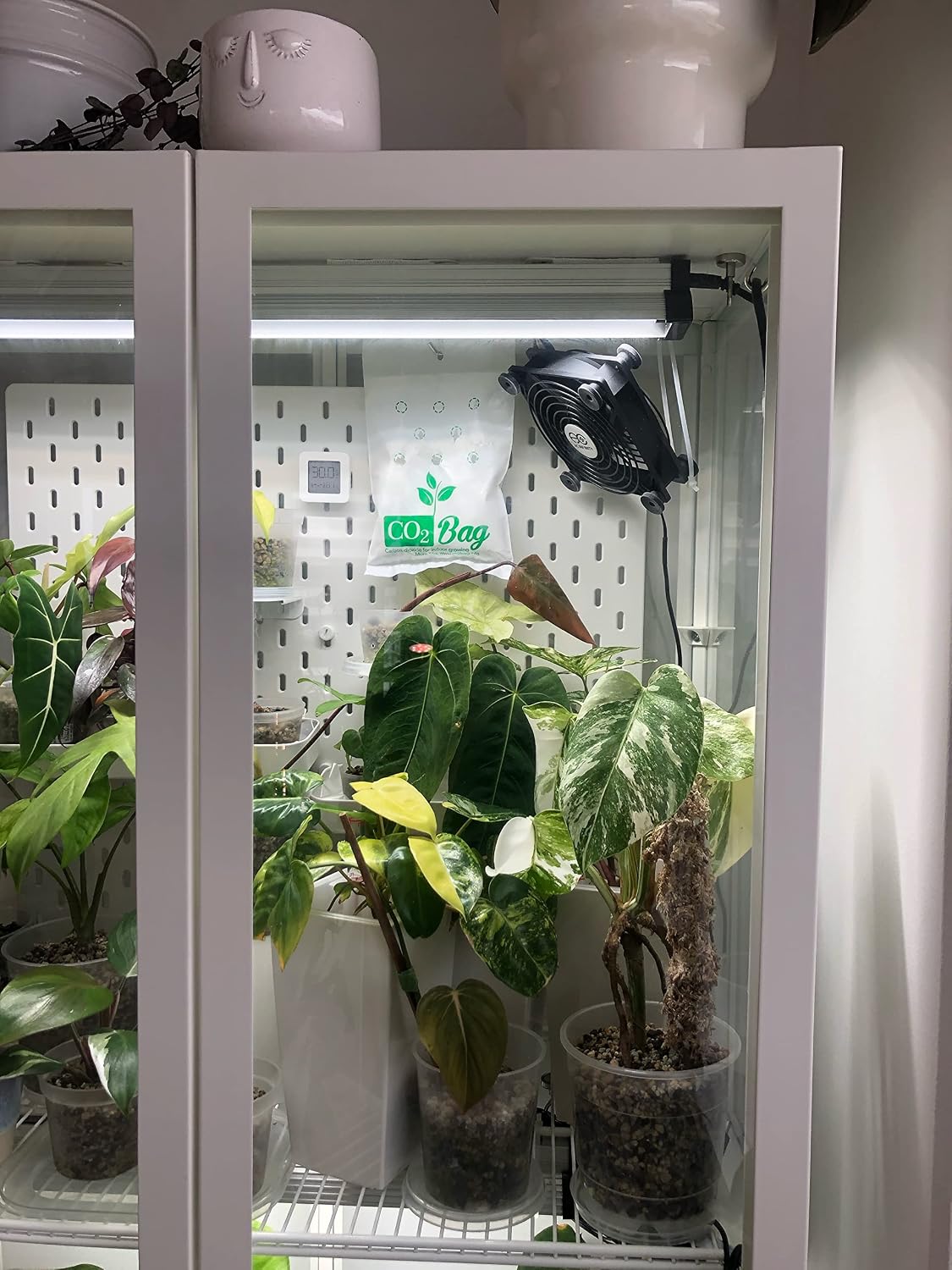 ® M 2-Pack - Natural CO2 Generator for Grow Tents & Greenhouses | Value Bundle for Double Coverage | Boosts Plant Growth, Yield & Harvest Speed | Organic Hydroponic Supplement | Maintenance-Free