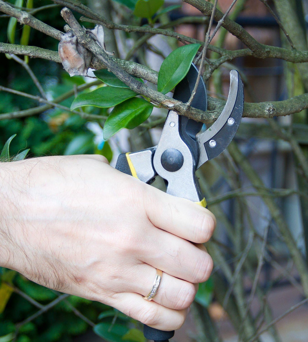 8 Inch Bypass Pruning Shears for Gardening, Heavy Duty Ultra Sharp Garden Shears with Ergonomic Non-Slip Grip, Precision-Crafted Hand Pruners for Roses, Branches, Flowers and Trimming