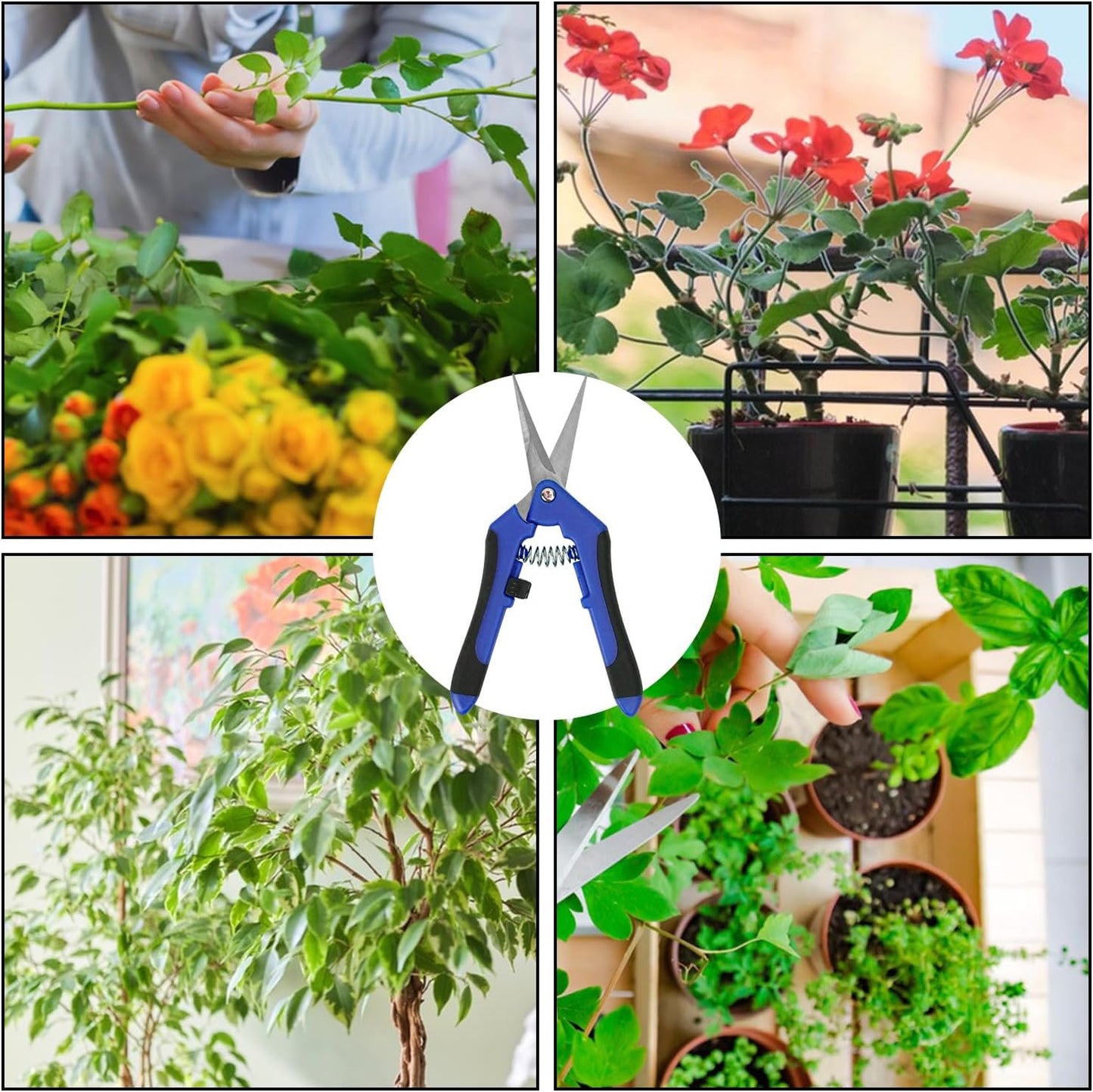 20 Pack 6.5 Inch Garden Pruning Scissors, Hand Pruner with Stainless Steel Blades, Sharp Point Gardening Shears Cutter, Gardening Pruning Shear, Supplies & Accessories(Blue)