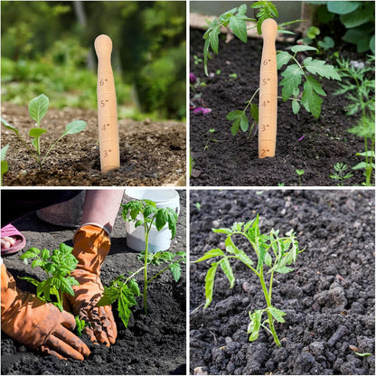 Wooden Seed Dibber with Measurement Handheld Save Time Ergonomic Round Handle Quick Efficient Seed Planter Tool Tapered Gauge