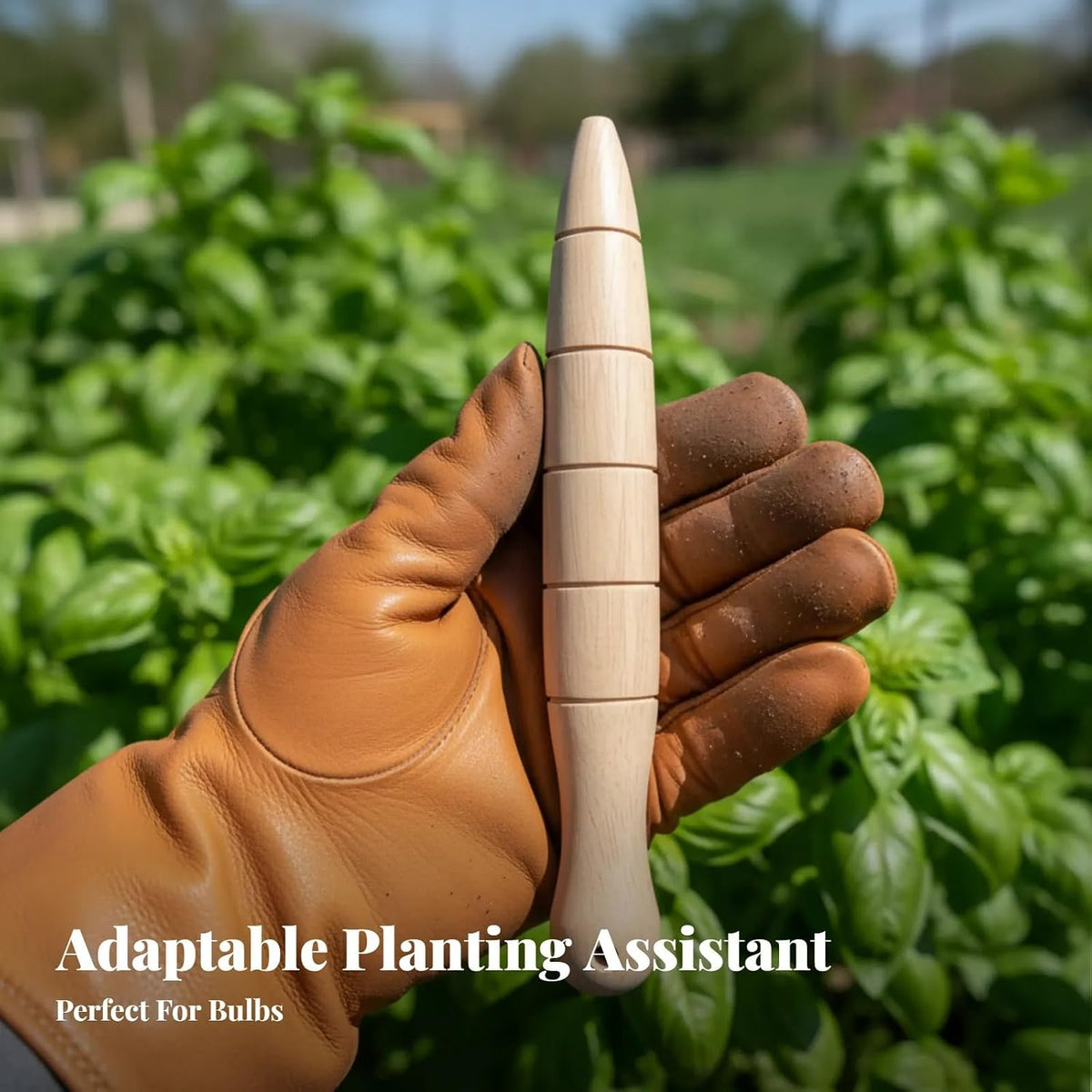 Wooden Seed Dibber with Measurement Handheld Save Time Ergonomic Round Handle Quick Efficient Seed Planter Tool Tapered Gauge