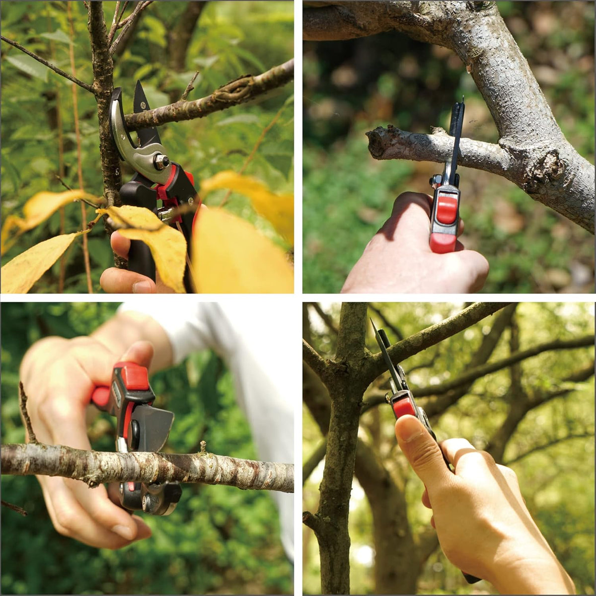 39000 Heavy Duty Adjustable Anvil Pruning Shears for Gardening, Hand Pruners, Stem Cutter, Branch Trimmer, Garden Clippers