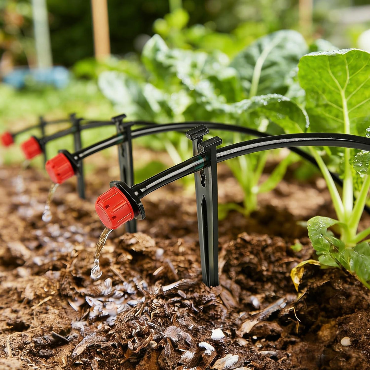 100 Pieces Drip Irrigation Support Stakes for 1/4 Inch Tubing, Plastic 1/4'' Drip Tube Holder Stakes for Irrigation Hose Emitter Support Garden Greenhouse Drip Supplies, 5.6-Inch Long