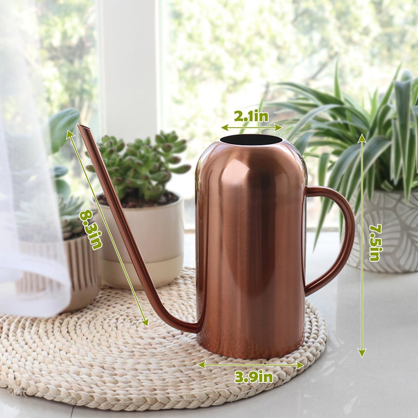 Watering Can Indoor Outdoor Plants, 50oz/1500ml Garden Long Spout Watering Cans, Stainless Steel Plants Watering Can Pot for Indoor House Plants Bonsai Flower Decorative