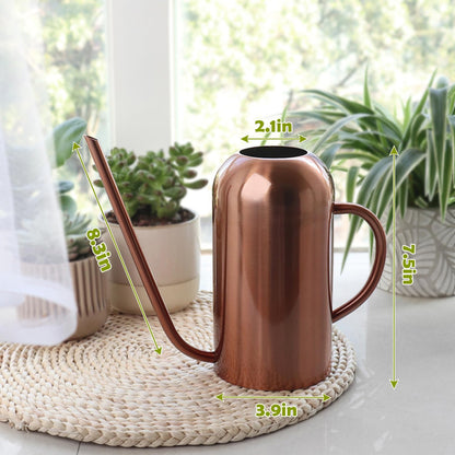 Watering Can Indoor Outdoor Plants, 50oz/1500ml Garden Long Spout Watering Cans, Stainless Steel Plants Watering Can Pot for Indoor House Plants Bonsai Flower Decorative