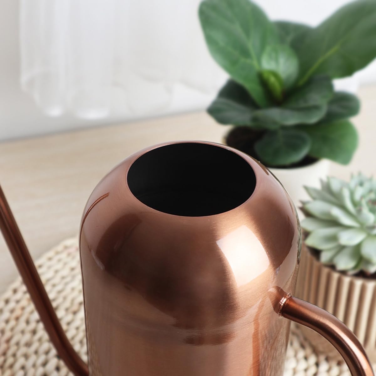 Watering Can Indoor Outdoor Plants, 50oz/1500ml Garden Long Spout Watering Cans, Stainless Steel Plants Watering Can Pot for Indoor House Plants Bonsai Flower Decorative