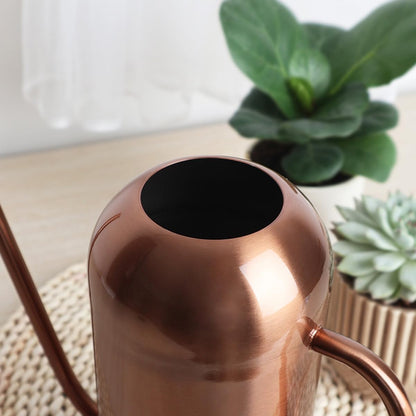 Watering Can Indoor Outdoor Plants, 50oz/1500ml Garden Long Spout Watering Cans, Stainless Steel Plants Watering Can Pot for Indoor House Plants Bonsai Flower Decorative