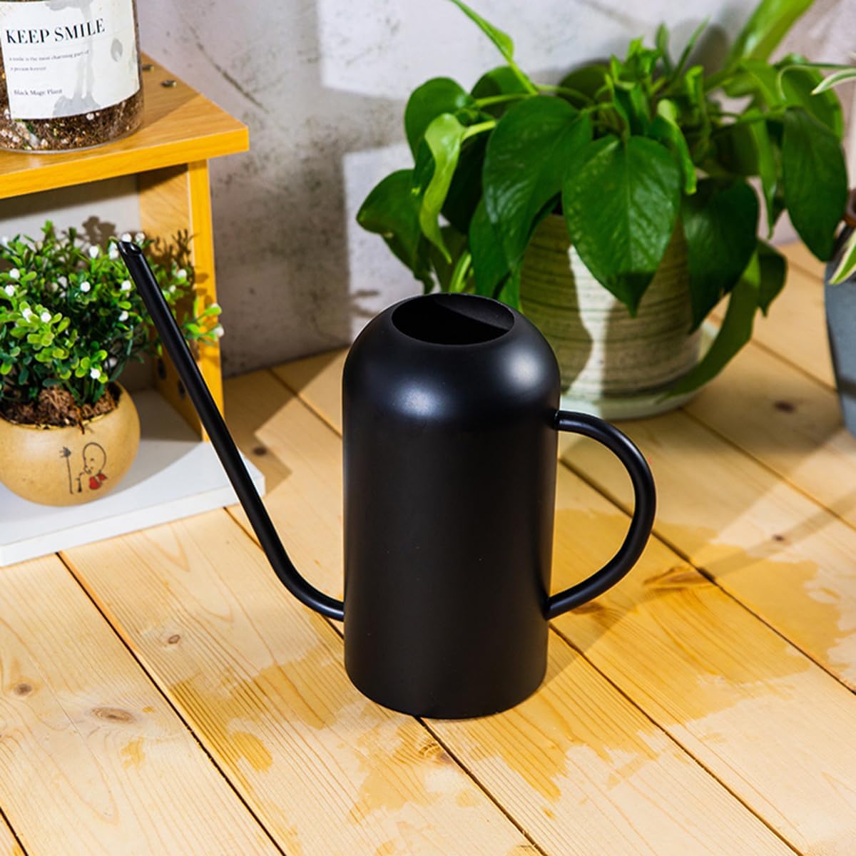 Watering Can Indoor Outdoor Plants, 50oz/1500ml Garden Long Spout Watering Cans, Stainless Steel Plants Watering Can Pot for Indoor House Plants Bonsai Flower Decorative