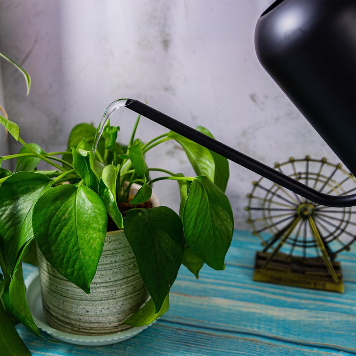 Watering Can Indoor Outdoor Plants, 50oz/1500ml Garden Long Spout Watering Cans, Stainless Steel Plants Watering Can Pot for Indoor House Plants Bonsai Flower Decorative