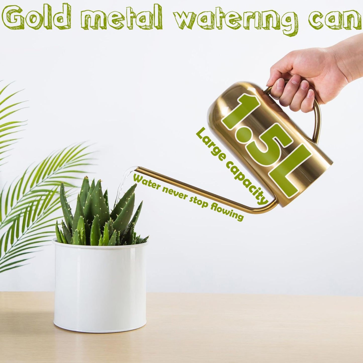 Watering Can Indoor Outdoor Plants, 50oz/1500ml Garden Long Spout Watering Cans, Stainless Steel Plants Watering Can Pot for Indoor House Plants Bonsai Flower Decorative