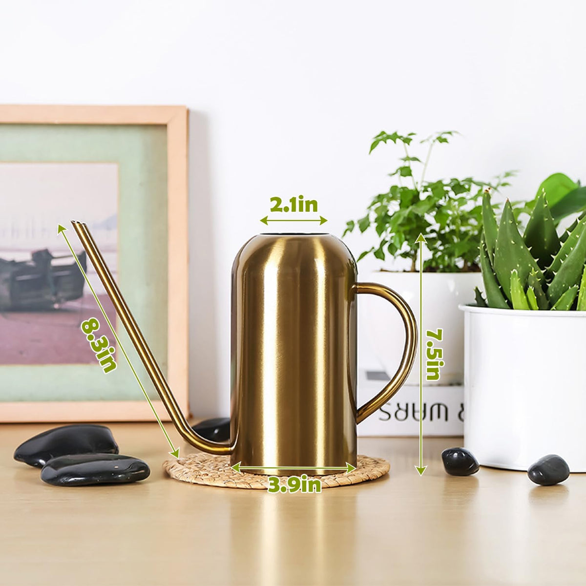 Watering Can Indoor Outdoor Plants, 50oz/1500ml Garden Long Spout Watering Cans, Stainless Steel Plants Watering Can Pot for Indoor House Plants Bonsai Flower Decorative
