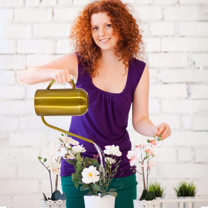 Watering Can Indoor Outdoor Plants, 50oz/1500ml Garden Long Spout Watering Cans, Stainless Steel Plants Watering Can Pot for Indoor House Plants Bonsai Flower Decorative