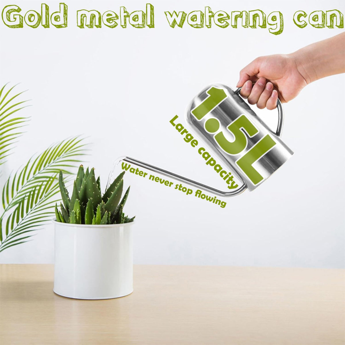 Watering Can Indoor Outdoor Plants, 50oz/1500ml Garden Long Spout Watering Cans, Stainless Steel Plants Watering Can Pot for Indoor House Plants Bonsai Flower Decorative