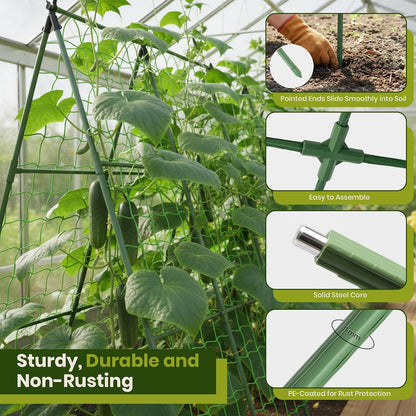 50x50 Cucumber Trellis for Raised Bed- A Frame Vegetable Garden Trellis