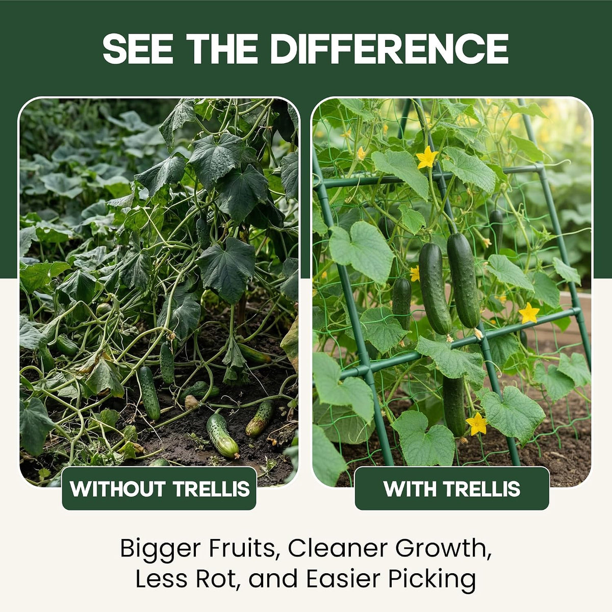 50x50 Cucumber Trellis for Raised Bed- A Frame Vegetable Garden Trellis