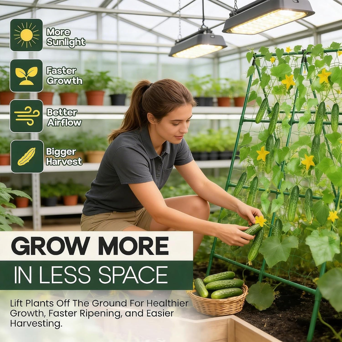 50x50 Cucumber Trellis for Raised Bed- A Frame Vegetable Garden Trellis