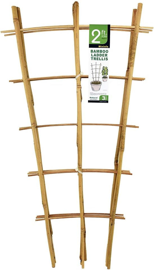 Natural Bamboo Trellis 24 Inches Tall, Garden Ladder Trellis, Plant for Climbing Plants, Vegetables, Pots - 3 Pack