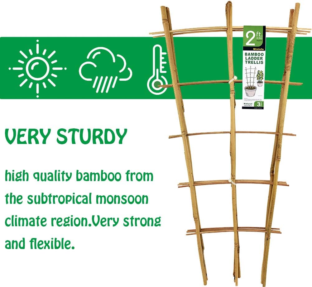 Natural Bamboo Trellis 24 Inches Tall, Garden Ladder Trellis, Plant for Climbing Plants, Vegetables, Pots - 3 Pack
