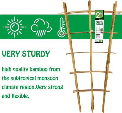 Natural Bamboo Trellis 24 Inches Tall, Garden Ladder Trellis, Plant for Climbing Plants, Vegetables, Pots - 3 Pack