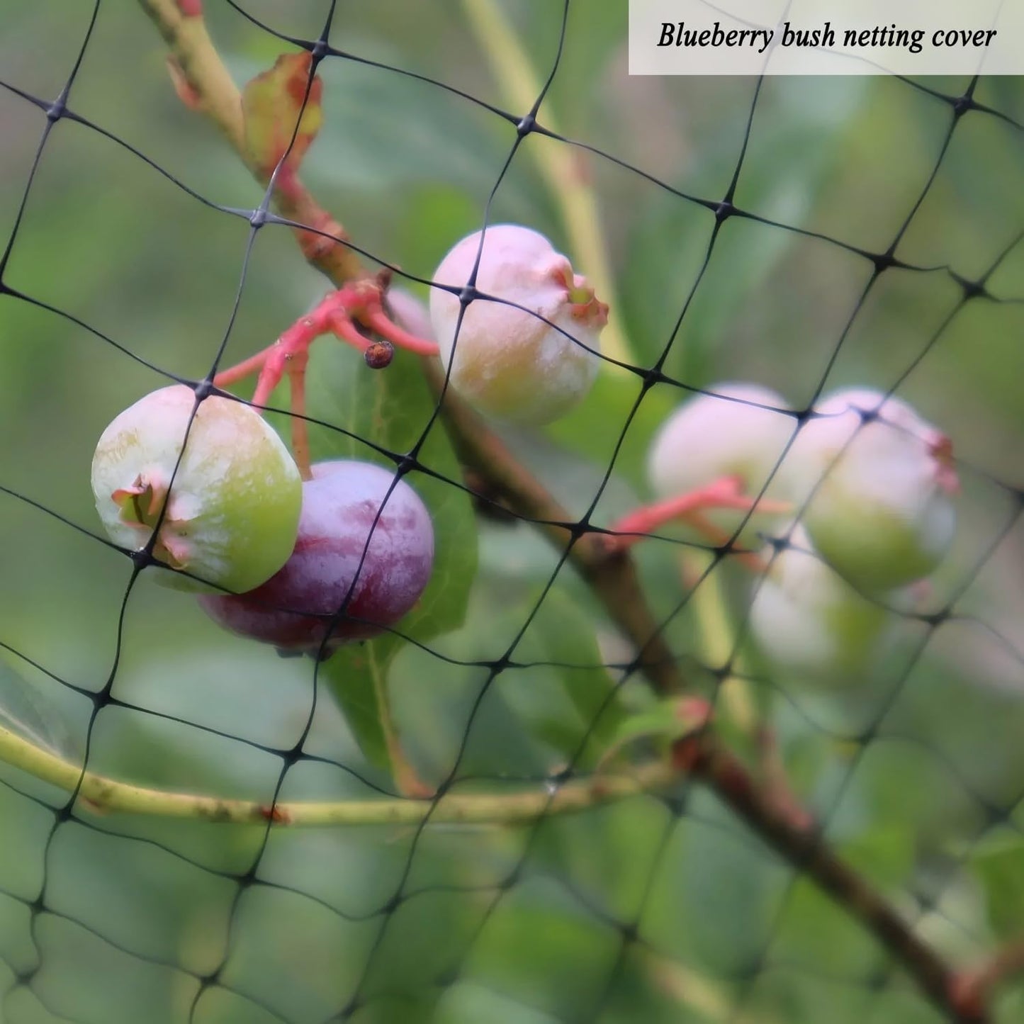 Bird Netting for Garden Protection, 7X100 FT Deer Fence Netting