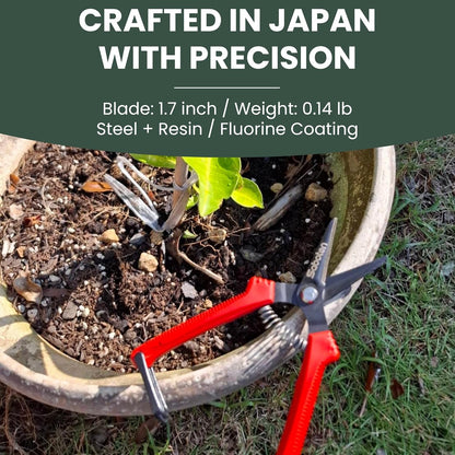 Saboten SD-8 6.7" Japanese Garden Pruning Shears, Lightweight Stainless Steel Trimming Scissors for Vegetables, Flowers & Fruit Harvesting, DIY, , Made in Japan