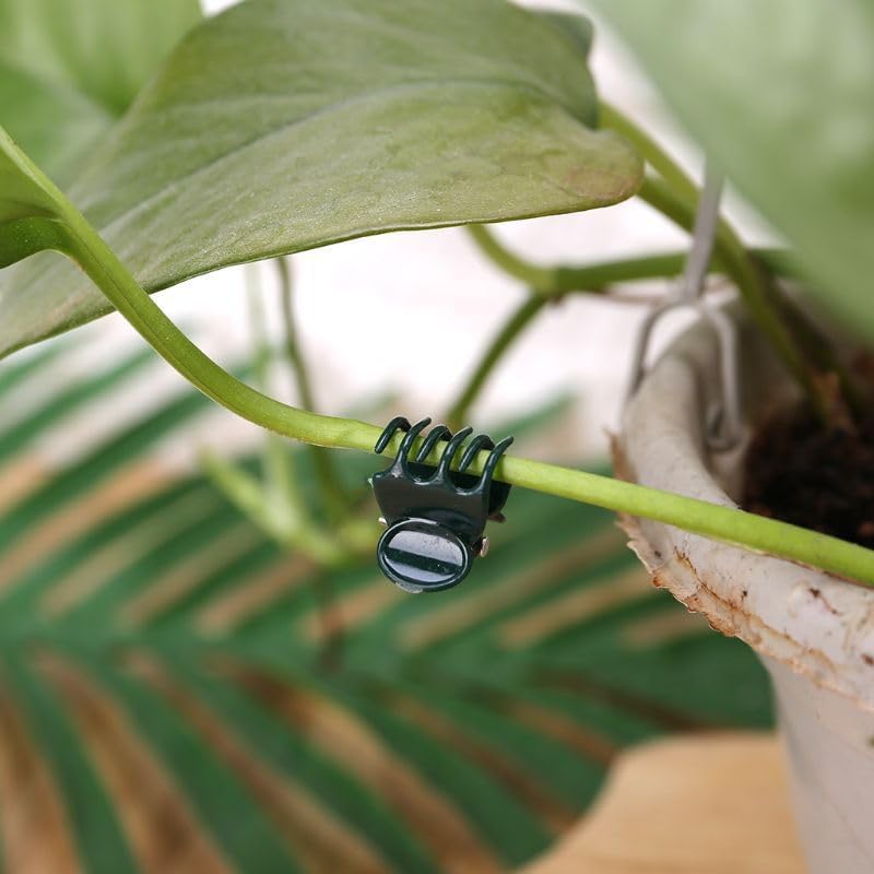 Plant Clips Orchid Clips for Plants Support, Plant Support Clips Vine Clips for Supporting Stems Vines Grow Uprigh (30, Green)