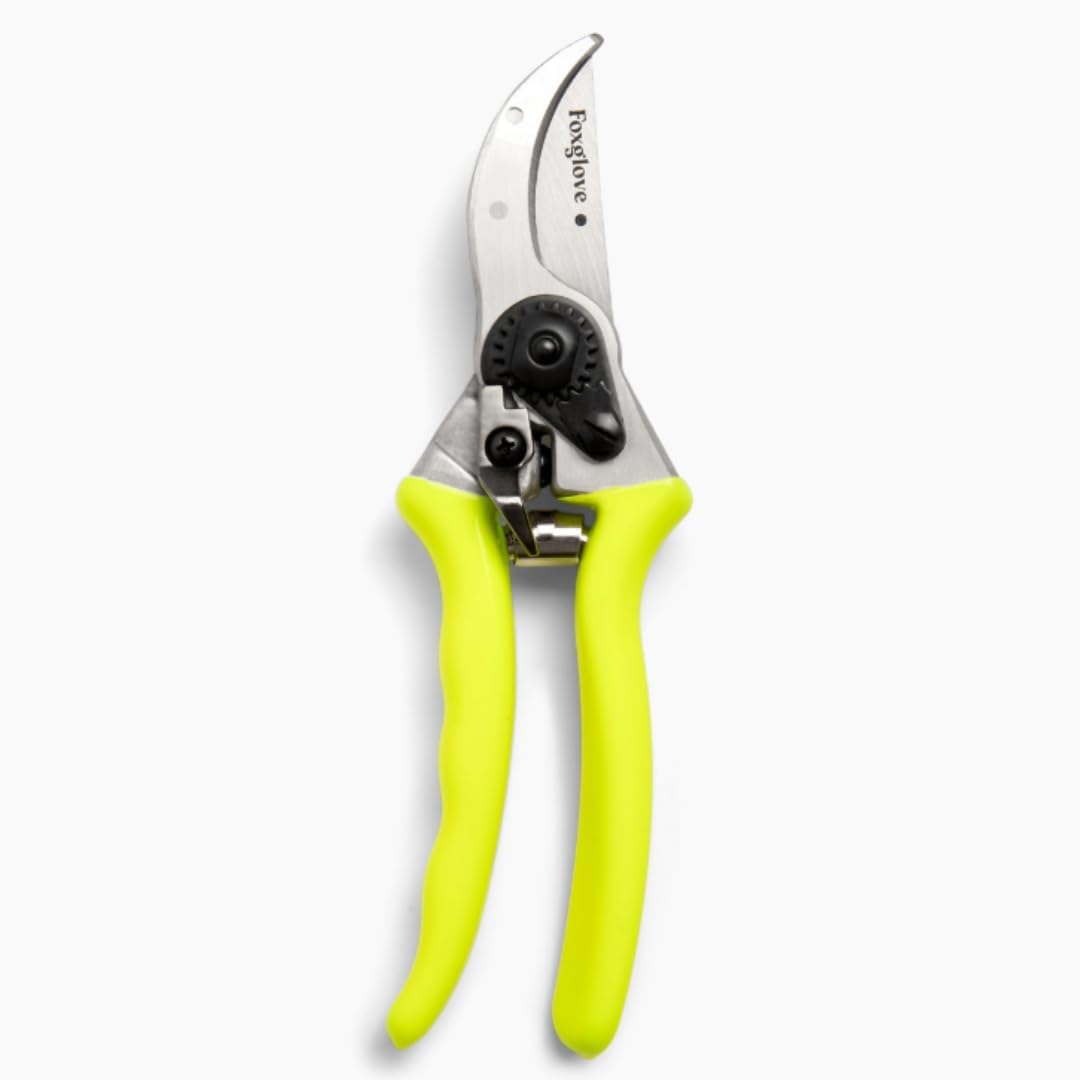 Foxglove Pruning Shears - Bypass Hand Pruners, Japanese SK5 Blades Shears